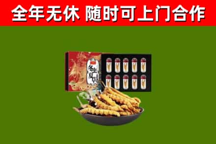 靖江市回收冬虫夏草价格